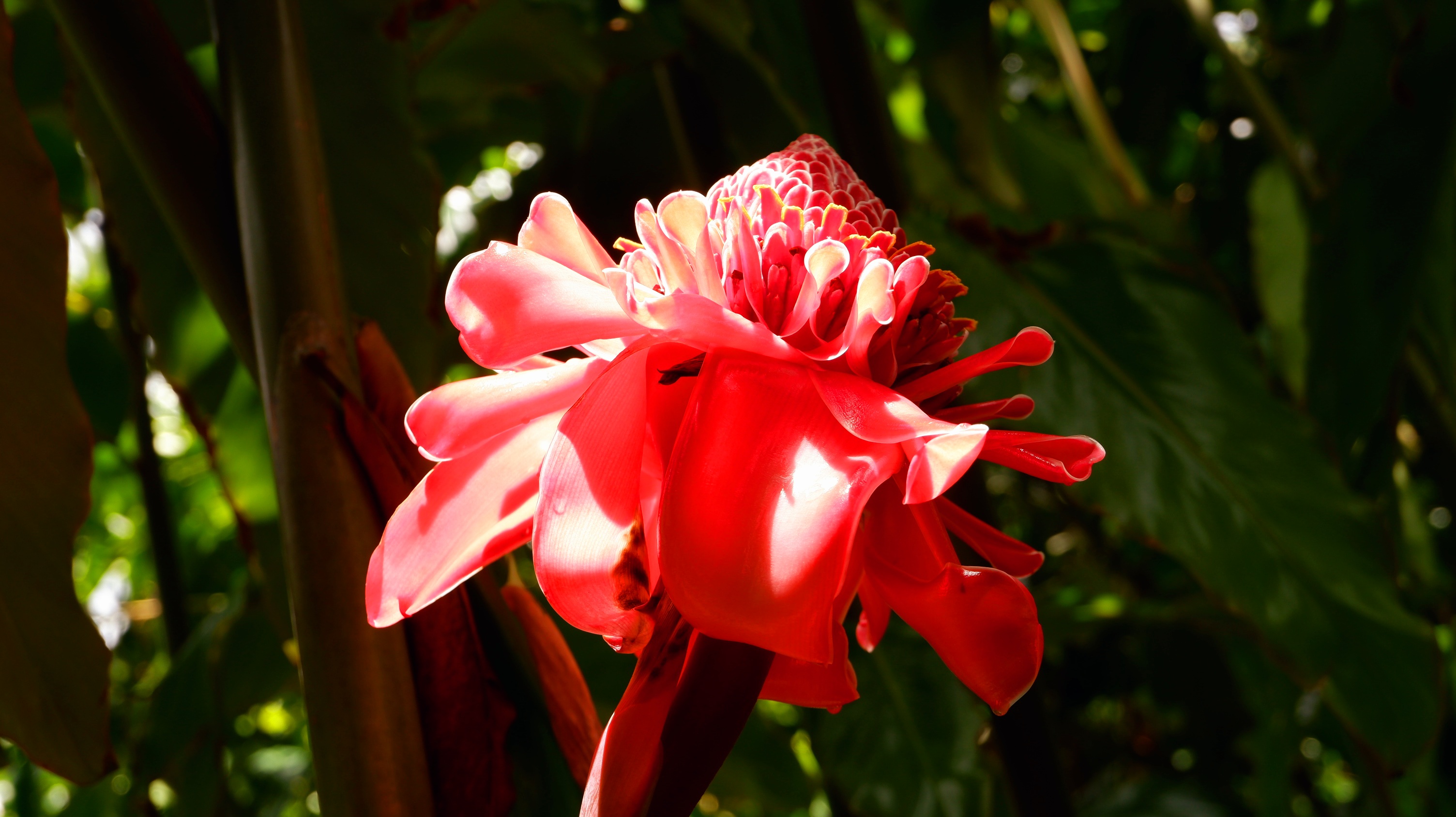 image-Art and design floral